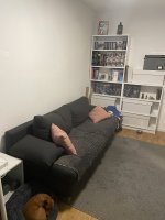 IMG_2372.jpeg
