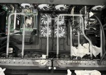 IMG_2396.jpeg