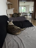 IMG_4476.jpeg