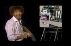 Bob.jpg
