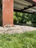 IMG_2388.jpeg
