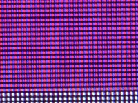20250519.jpg