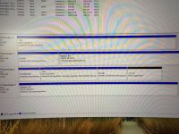 IMG_4585.jpeg
