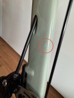 IMG_1807.jpeg