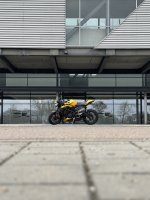 IMG_2126.jpeg