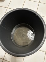 IMG_9118.jpeg