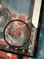 IMG_0406.jpeg
