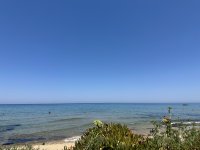 IMG_5656.jpeg