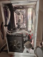 Shiny Snake l300.jpg