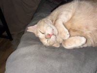 IMG_7790.jpeg
