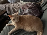 IMG_7791.jpeg