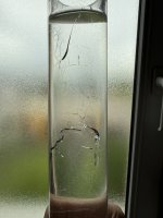 IMG_9951.jpeg