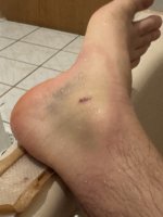 IMG_4431.jpeg