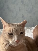 IMG_7950.jpeg