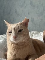 IMG_7948.jpeg