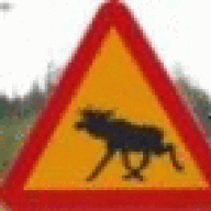webwilli