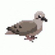 Clonemaster