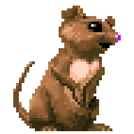 Goderion