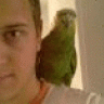 mavoso