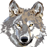 Cyphex