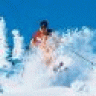 powdergrease