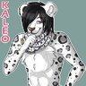 Kaleo Meow