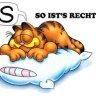garfield51