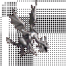 Jabberwoky