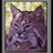 Lynx_Rufus