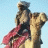 cameldriver